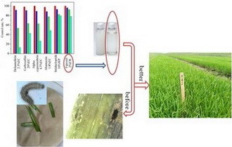 3개의 활성성분 즉 1-친수성 및 2-친액성 성분들을 가진 미세유탁액의 농약 제조