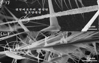 기상법에 의한 산화아연의 새로운 계층구조성장에 대한 연구